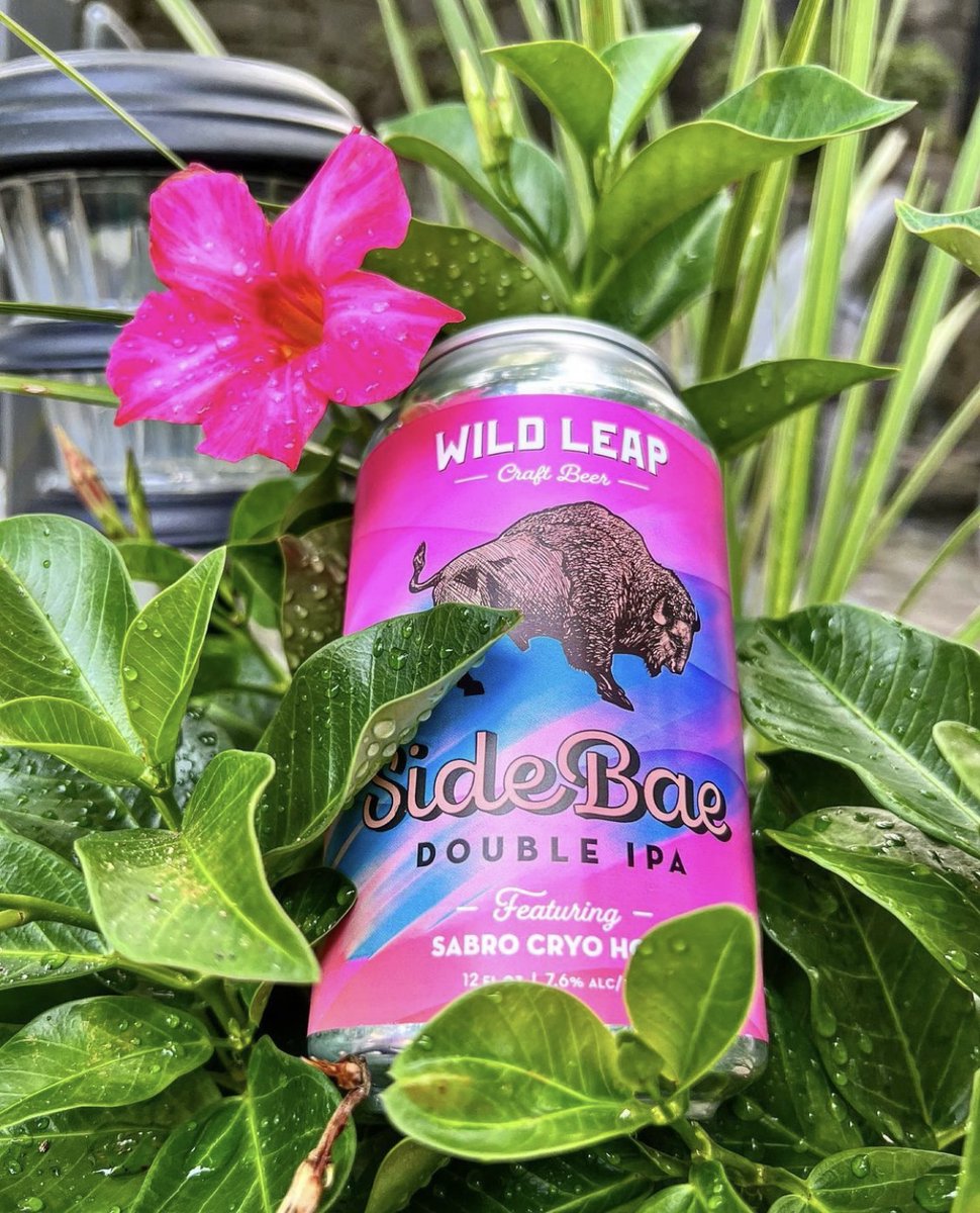 wildleap's tweet photo. It’s a Side Bae Summer. 🌺

#wildleap #wlbc #gacraftbrew #sidebae #ipa #gabrewery #gabeer #newrelease #craftbeer #craftbeerlovers #beer #beertography #drinklocal https://t.co/2tUxvrU9yC