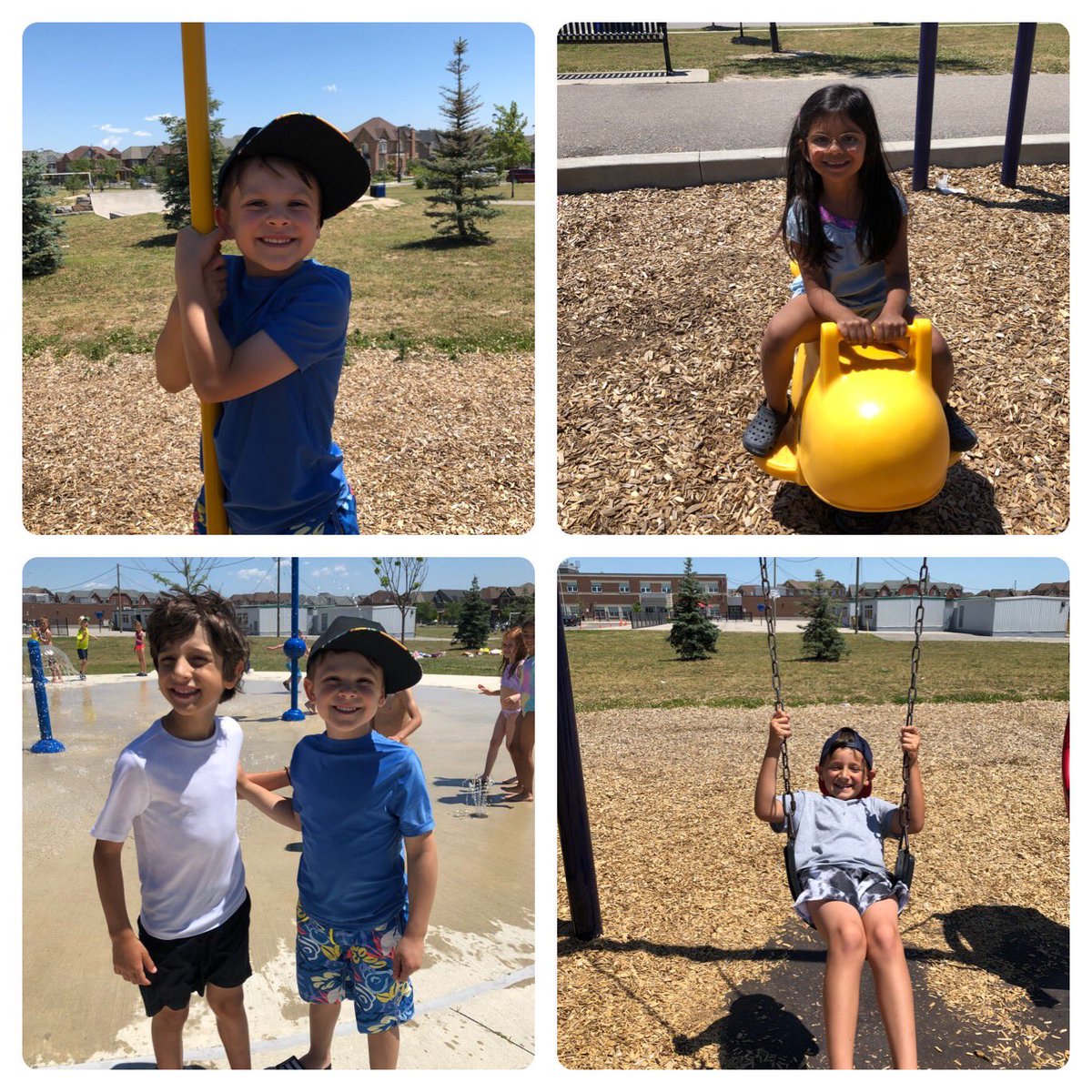 Ms. Palma tweet media