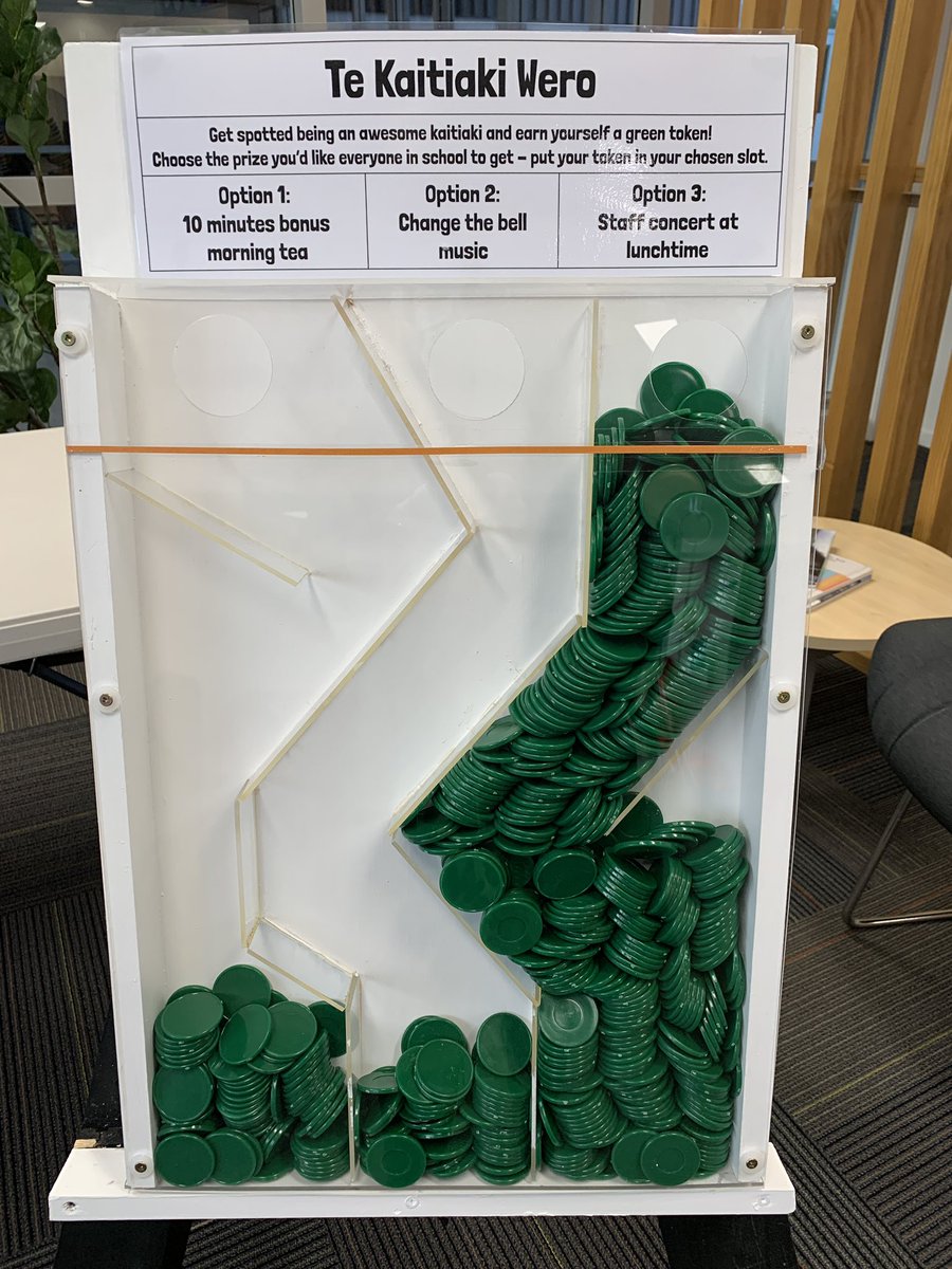 Stonefields School tweet media