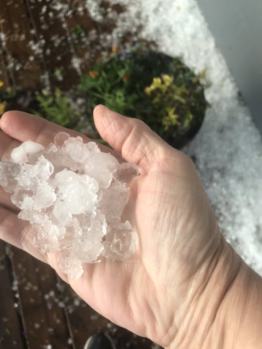 Welp. My poor garden and flowers. In other news testing my nee #hardieboard @CTVStanfield #yyc <a href="/cmcalgary/">cm</a> #abstorm #rvc #hail #damage #thunder #Lightning