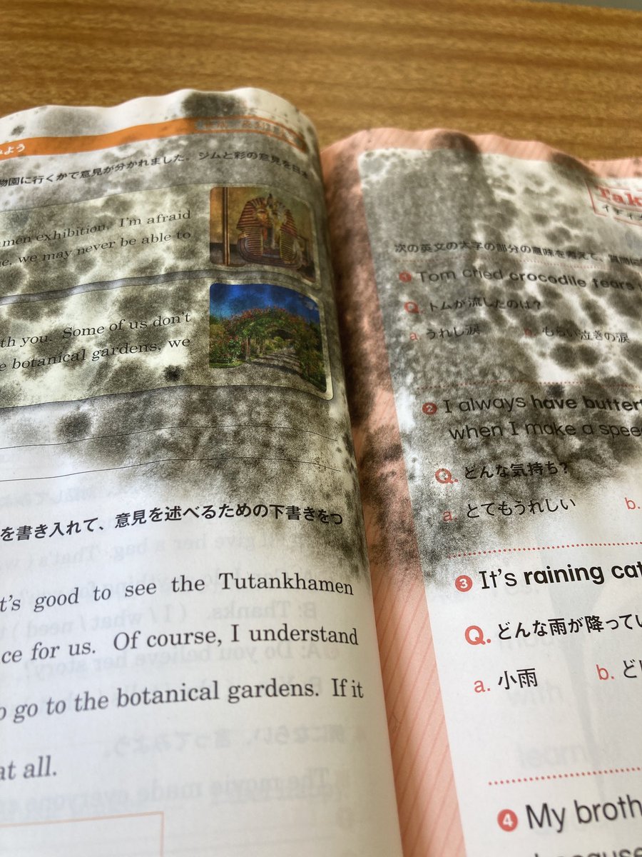 tomasin0888's tweet photo. この世の終わりみたいな教科書使ってるの俺だけ説 https://t.co/5FpQkU7TIF