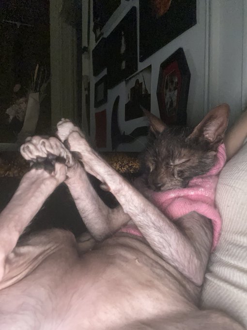 what the fuck is this guy dreaming about https://t.co/ykZHYYqWbU