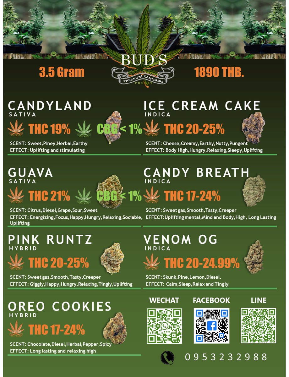 fingun13's tweet photo. สิ่งดีๆมีไว้แบ่งปัน
ทักเลยจร้า
#cannabis #phuket #กัญชาออแกนิค #กัญชาเชียงใหม่ #กัญชาเสรี  #กัญชากรุงเทพ #กัญชาภูเก็ต #budsphuket #bud #ภูเก็ตนัดเจอ https://t.co/xKAwANhsie