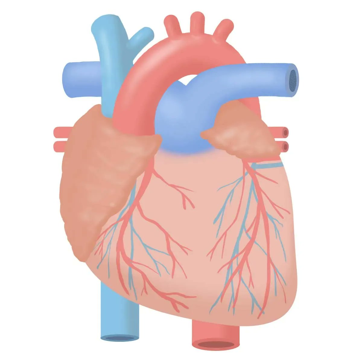 看護師 イラスト集 看護roo Kangoshi Illust Twitter