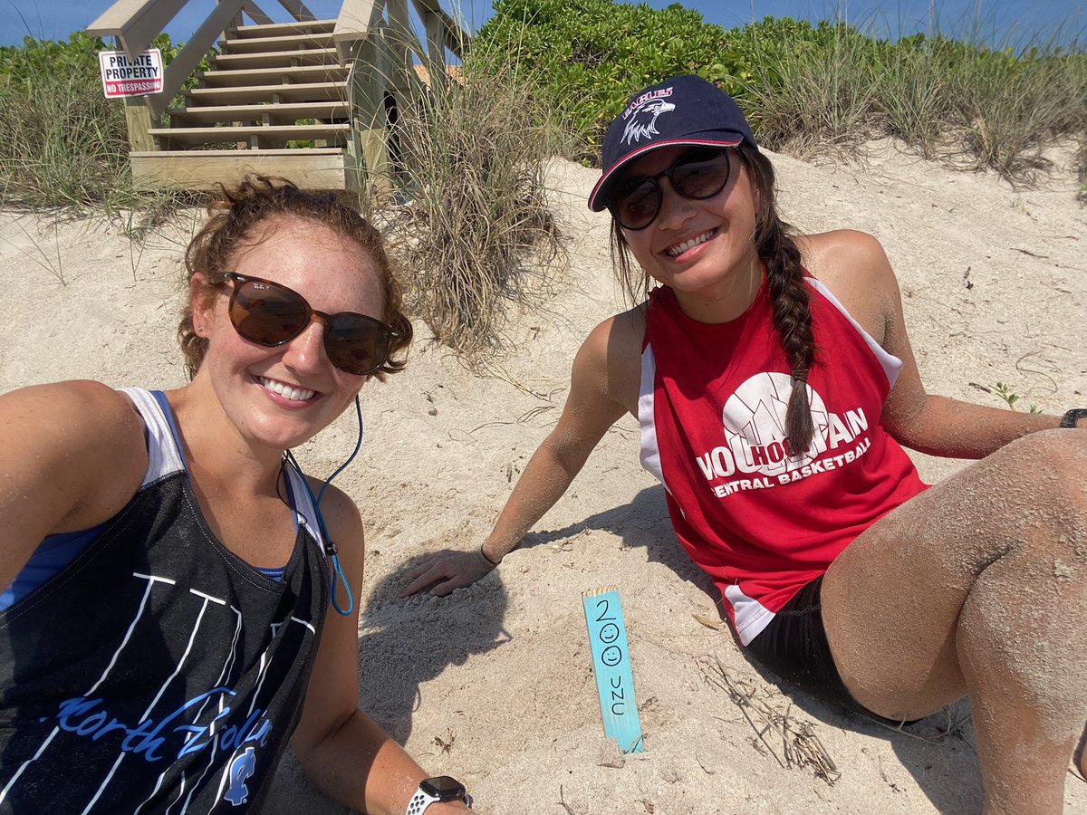 200 nests marked and almost ready to start experiments with hatchlings from our first nests!