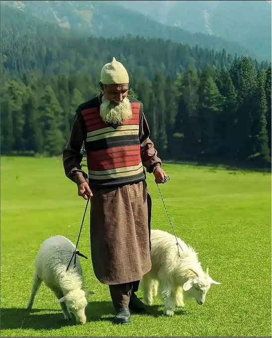 One touch of #nature makes the whole #world kin.#Kashmir #NayaKashmir #JammuAndKashmir #Jammu #Srinagar #WednesdayMotivation #checkyourpoo #TrumpTantrum #UdaipurHorror #jelibon #KanhaiyaLal #photo #Tourism #