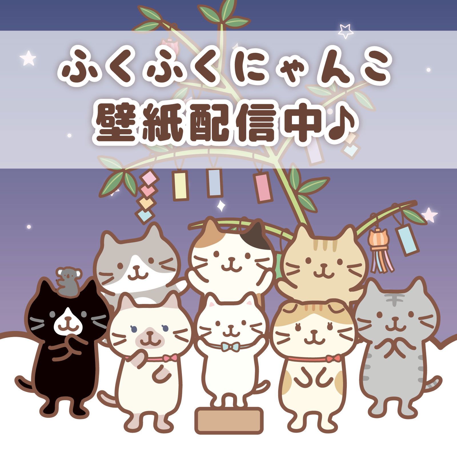 Fuku Fuku Nyanko ふくふくにゃんこ ふくふくにゃんこ 7月の壁紙プレゼント V 七夕の夜にお願いごとをするにゃんこ達の壁紙 いったい何をお願いしているのかな スマホ用の待ち受け画面 Fuku Fuku Nyanko ふくふくにゃんこ ふくふくにゃんこ 7月の壁紙プレゼント V 七夕の夜にお願いごとをするにゃんこ達の壁紙 いったい何をお願いしているのかな スマホ用の待ち受け画面