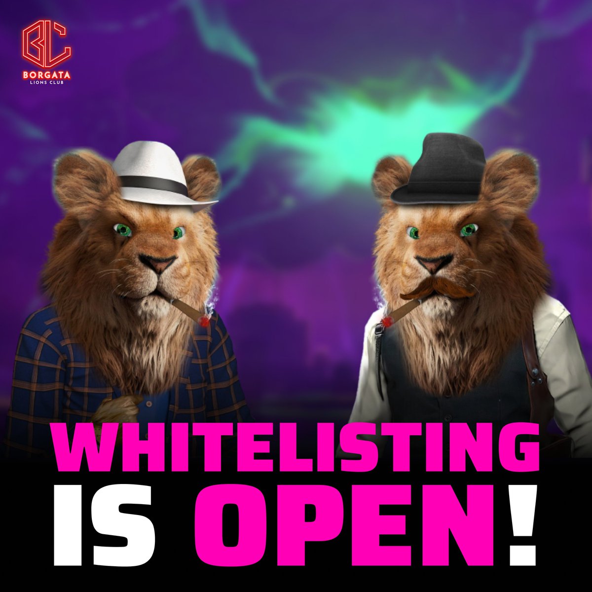 BorgataClub's tweet photo. Our Whitelisting is Open!
Fill Up the Form and Get whitelisted Now!
https://t.co/OzBTVWTosl

#borgatalionsclub #nft #NFT #NFTS #cryptoart #bayc #apesinspace #fatapeclub #partyapes
#NFTcollector #modernart #crypto #3Dart #digitalillusions https://t.co/1mnkh6shfI