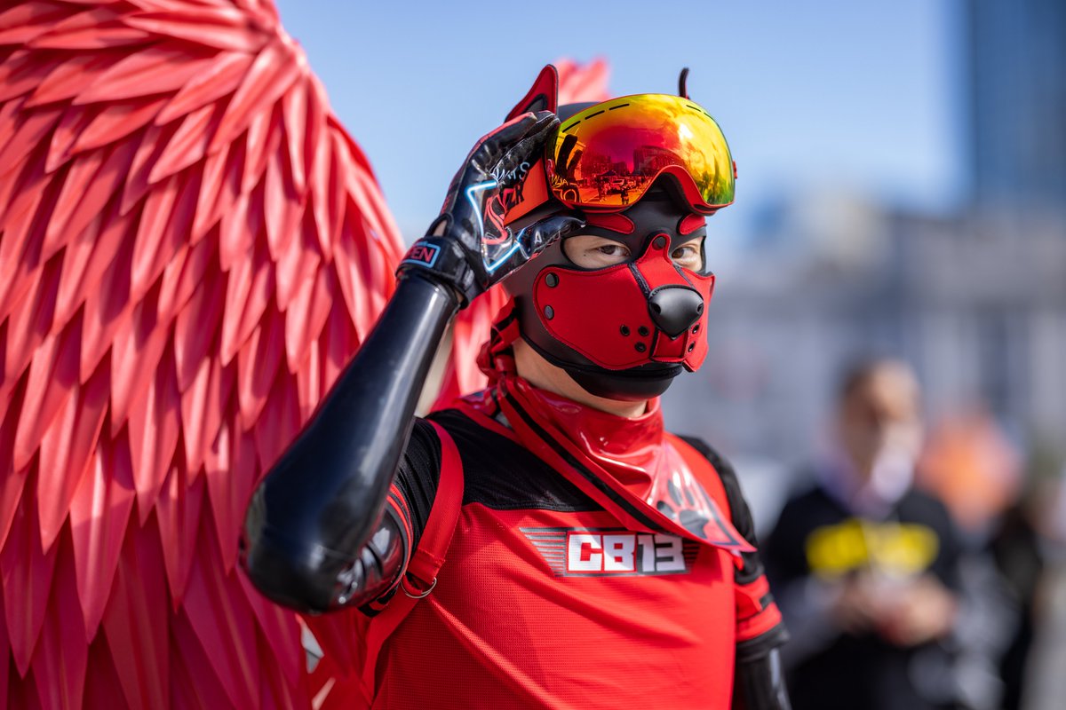 Pup Rally on Twitter: 