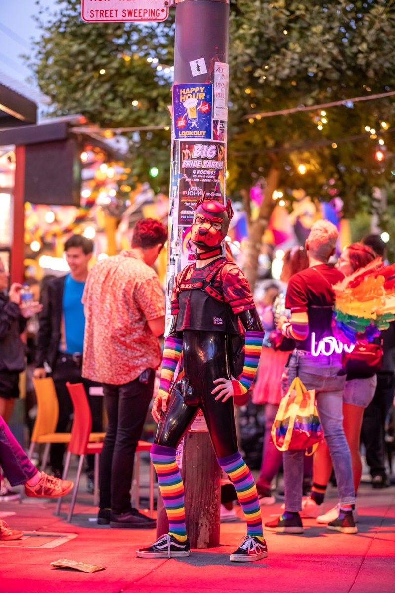 Pup Rally on Twitter: 