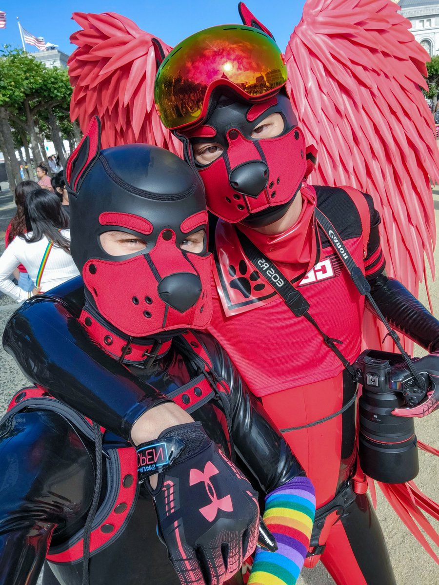 Pup Rally on Twitter: 