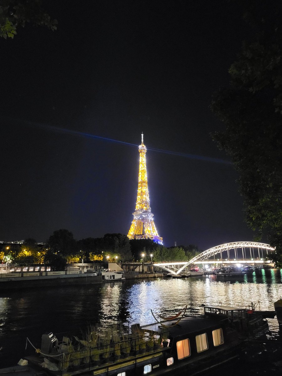 Petite visite de la tour Eiffel de soir ✅
C'est dans cette folie du selfie, de la photo parfaite que je me dis que je suis pas fait pour les grandes villes. Mon petit plaisir c'est de me promener en lâchant des pets et regarder la face des gens de loin. Les plaisir de la vie!