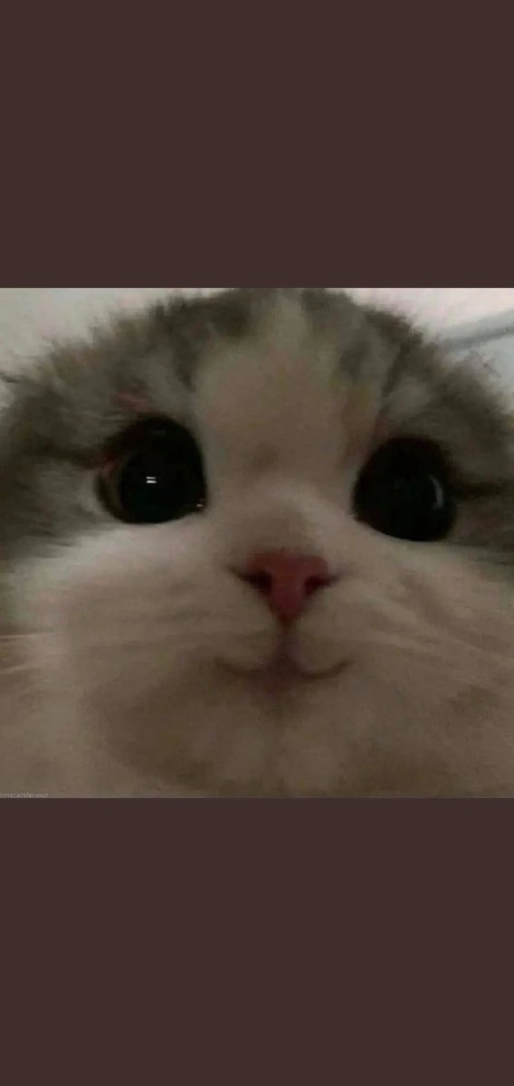 Jaypi_26's tweet photo. @visionofviii Literally me when I saw you're back again! :)) https://t.co/ey6nEfooTi