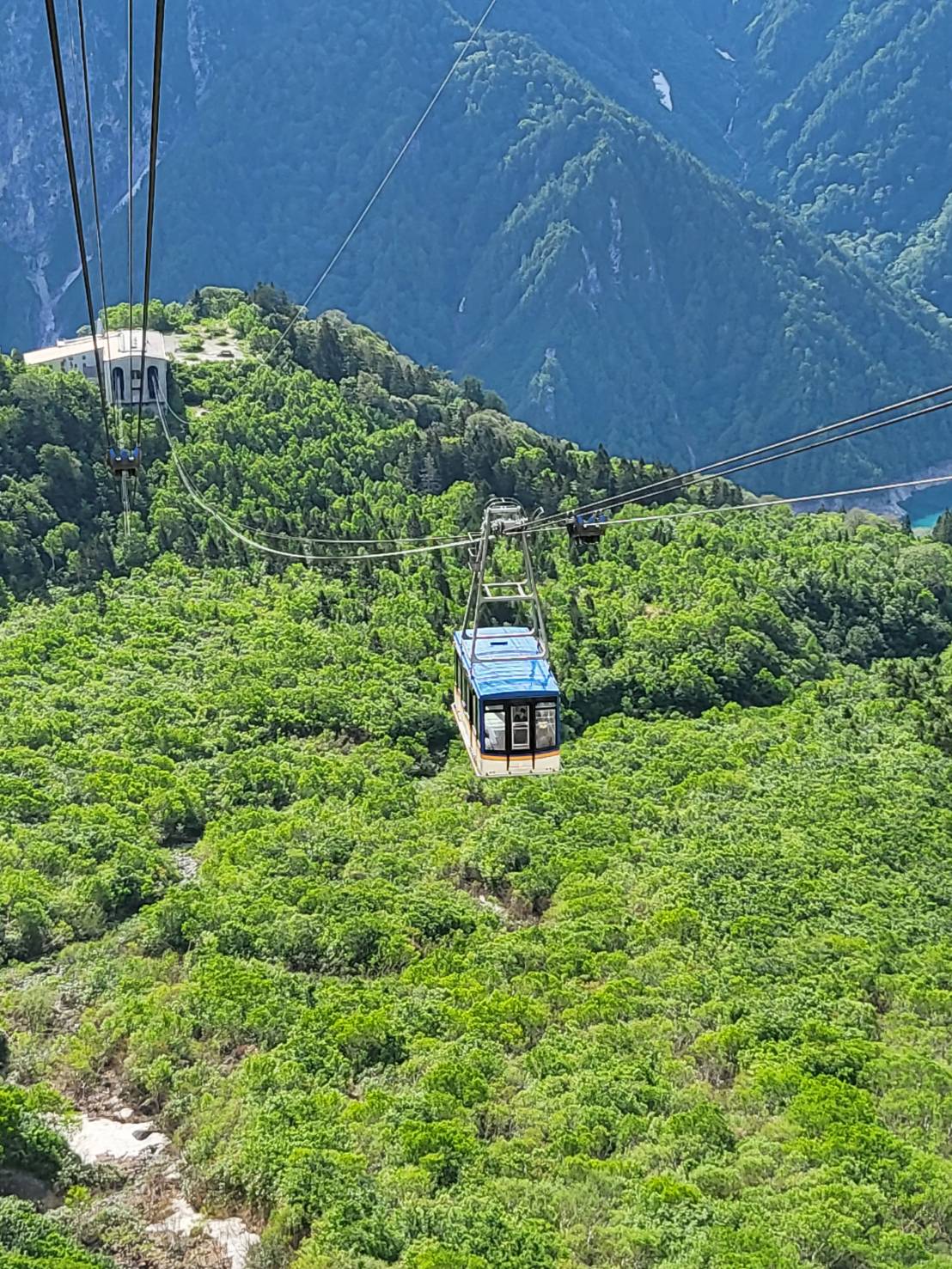 公式 立山黒部アルペンルート 昨日梅雨明けが発表された富山県 標高2 316mの大観峰では 夏らしい青空と新緑に包まれながら 立山ロープウェイがすいすい 下界は溶けそうなくらい暑い なか 大観峰の今朝7時の気温は17 絶景の避暑地に涼みに
