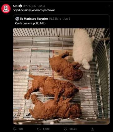 MohamedSxlah tweet media