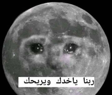 egymeme11 tweet picture