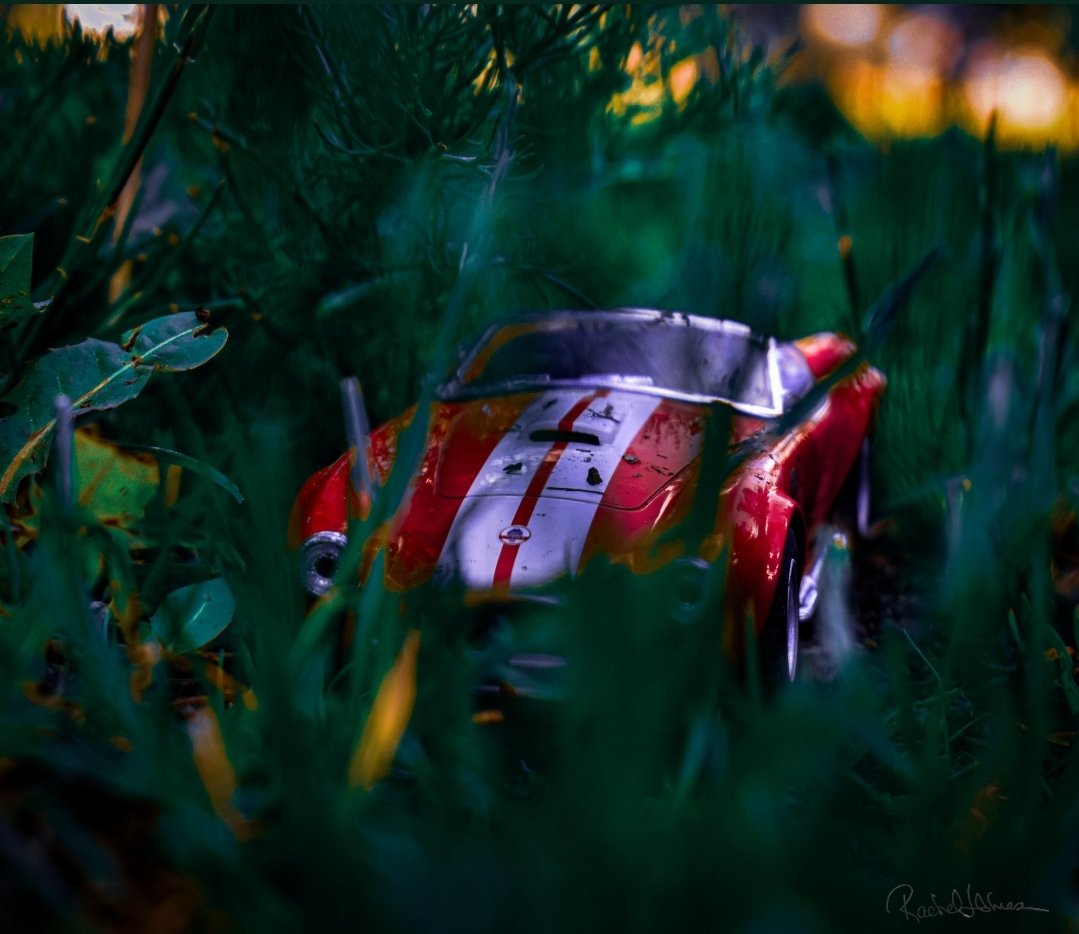 "Unreal"

 My daughters toy car 🚙 
Her '65 Shelby Cobra in an unreal landscape that is my uncut grass 🌿

Backyard Photography 📸 

 opensea.io/assets/matic/0…  #xmorphus #NFTCommunity #nftarti̇sts #NFTArts #NFTs