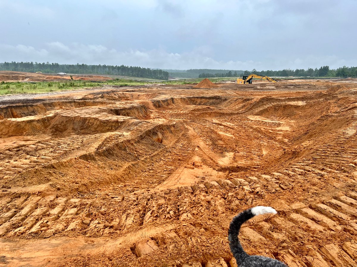 Old_Barnwell's tweet photo. A gentle handshake, it is not. The 1st at OB has lots of, um, visual interest. Particularly on the right side up nearly the entire length of the hole. https://t.co/EZwdgyVI2N