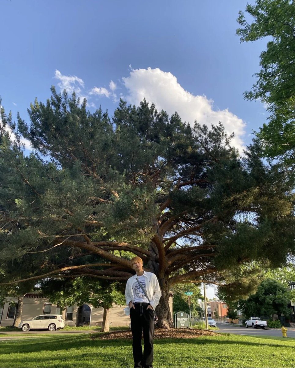 DKBBrazil's tweet photo. (2/2)
"☀Embaixo do sol brilhante, árvore grande&Teo☀
#DKB #다크비 #닼둥이inDENVER #DKBinDENVER #2022_DKB_US_TOUR #테오 https://t.co/Tc0u035trw