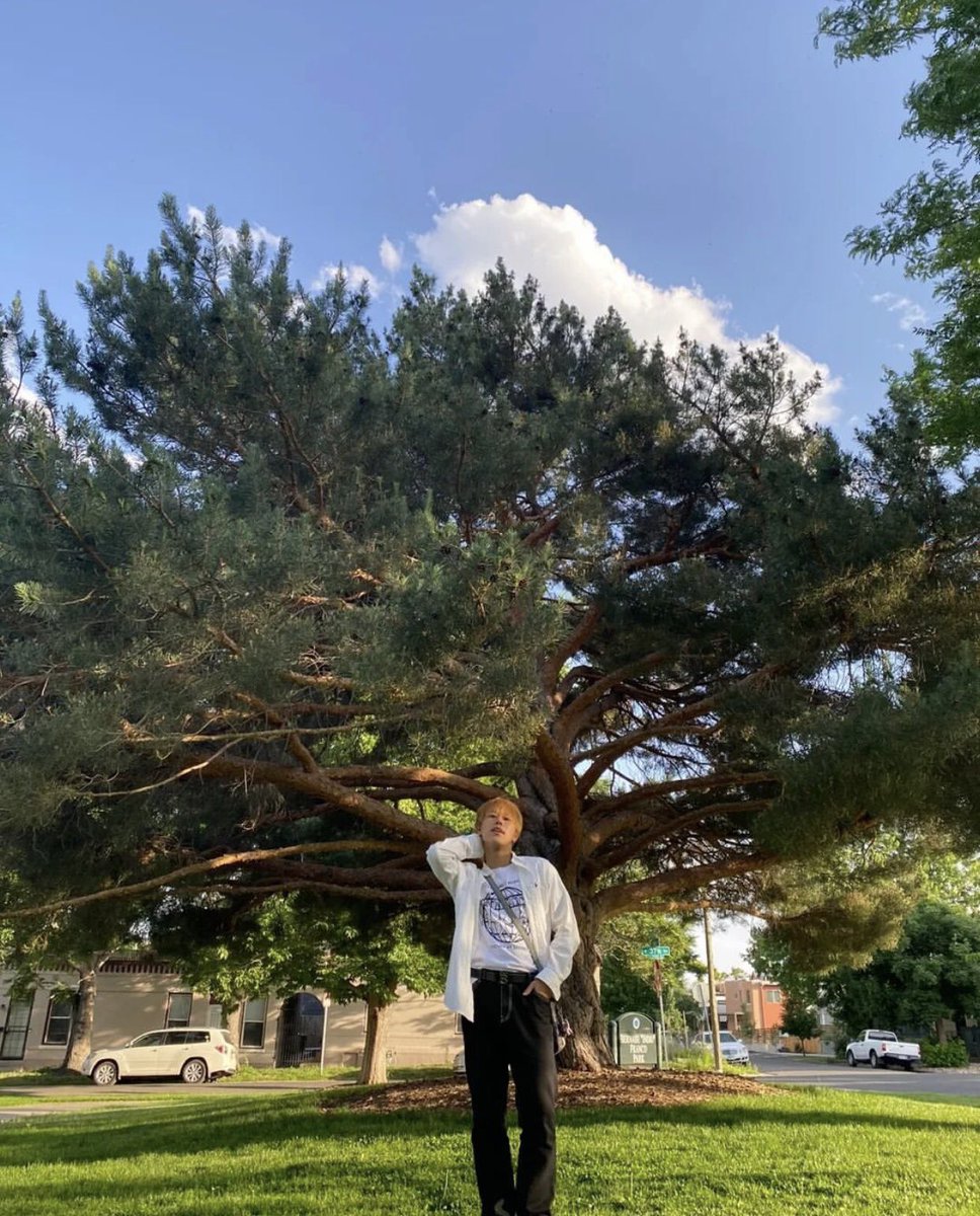 DKBBrazil's tweet photo. (2/2)
"☀Embaixo do sol brilhante, árvore grande&Teo☀
#DKB #다크비 #닼둥이inDENVER #DKBinDENVER #2022_DKB_US_TOUR #테오 https://t.co/Tc0u035trw