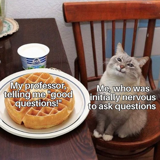 WholesomeMemes (@wholesomememe) on Twitter photo 