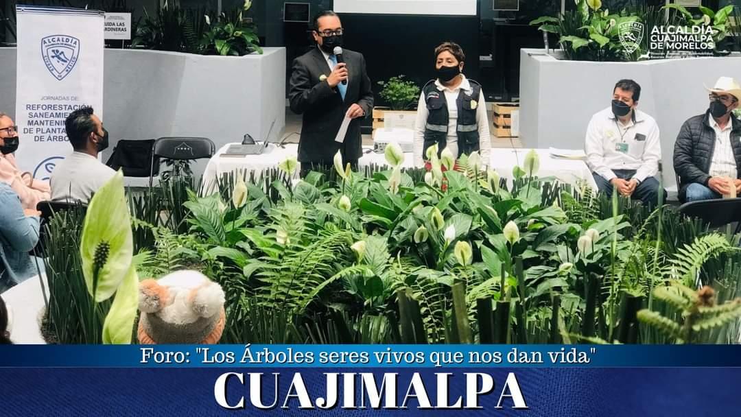 CuajimalpaDGSRN's tweet photo. En  el Foro "Los Árboles seres vivos que nos dan vida" en donde diversos especialistas abordaron temas como la importancia de los bosques, los problemas que enfrentan, plagas y enfermedades de árboles urbanos, la Norma Ambiental para podas, derribos y trasplantes @AdrianRubalcava https://t.co/mQeoJAMOy0