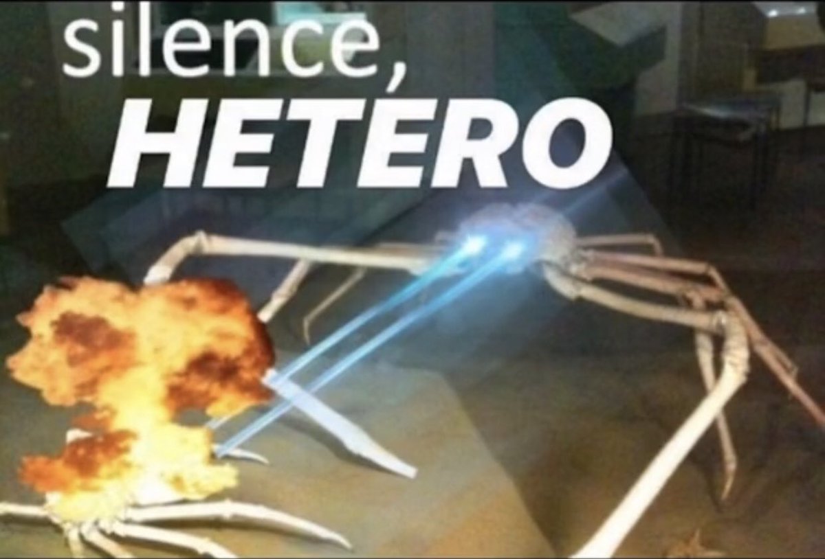 𝛂Ͼ𝕚đD̷͉̰͐̊̋̀͠ɘෆ❍𝕟 tweet media