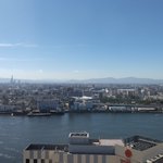 ゾウさんのツイート画像