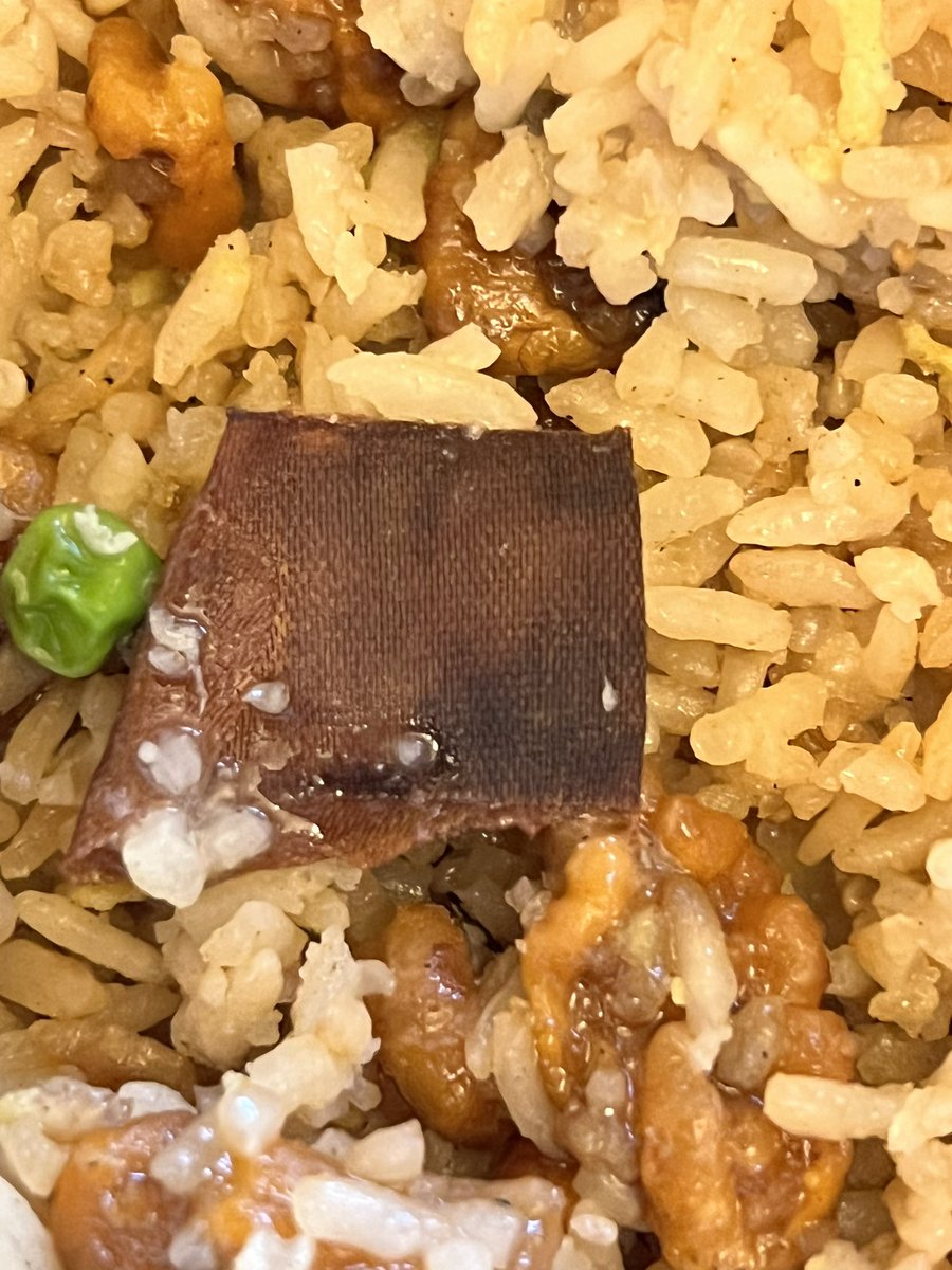 jenniemarie tweet media