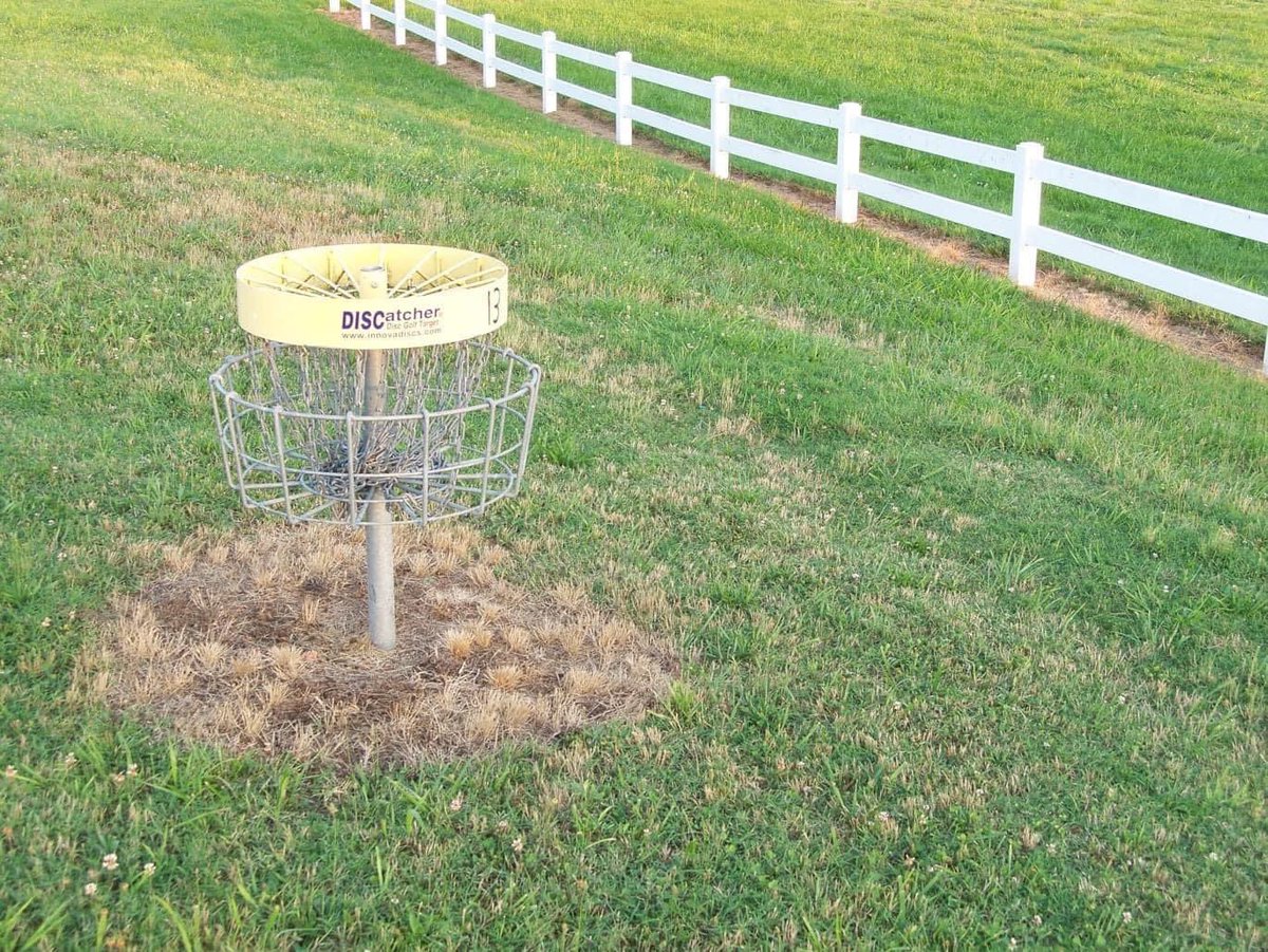 This is what the basket feels like sometimes 😂