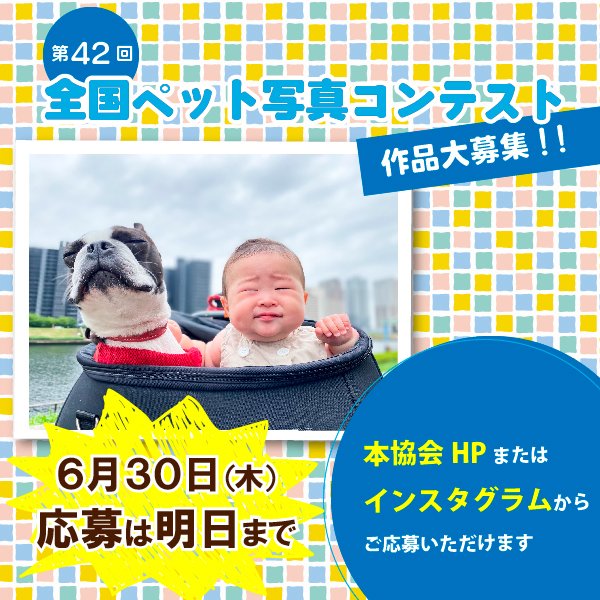 JPCA_org's tweet photo. 【第42回 #全国ペット写真コンテスト 】
ペットを大切にする精神を培うことを目的に、人とペットとのふれあいの楽しさや、動物愛護の心などが表されている写真を募集しています。
応募締切は明日（６月30日）まで。ぜひご応募ください。
https://t.co/I7MbL59viC https://t.co/C3HrE7FgTz