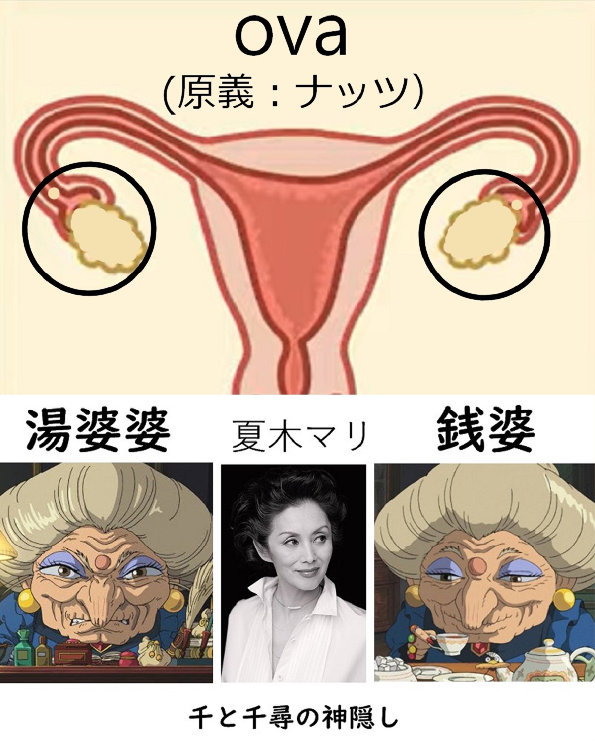 FWYmIW_UAAAQEB6.jpg:large