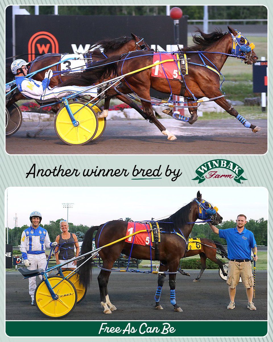 FREE AS CAN BE grabs her second career win for Trainer Casie Coleman <a href="/woodbinesb/">Woodbine Mohawk Park</a> on Tuesday night.