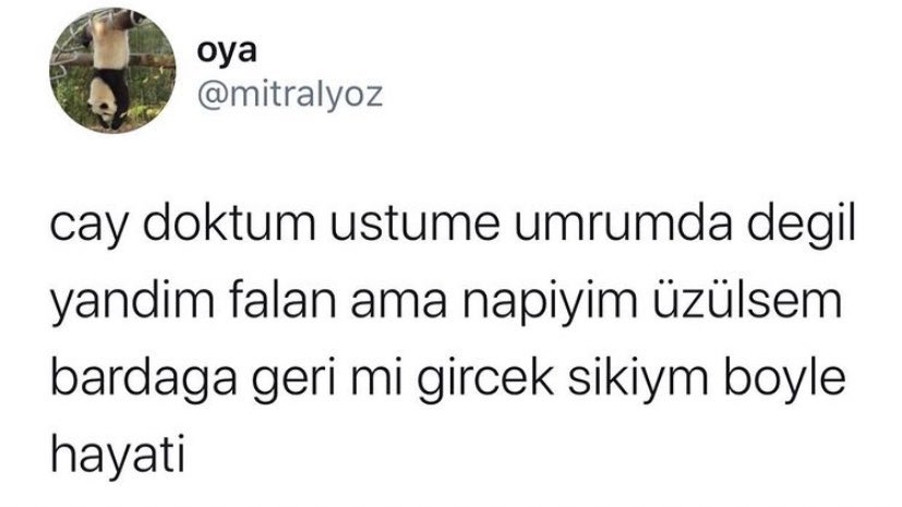 alniopulesitivt's tweet photo. https://t.co/2Jvz6doGim