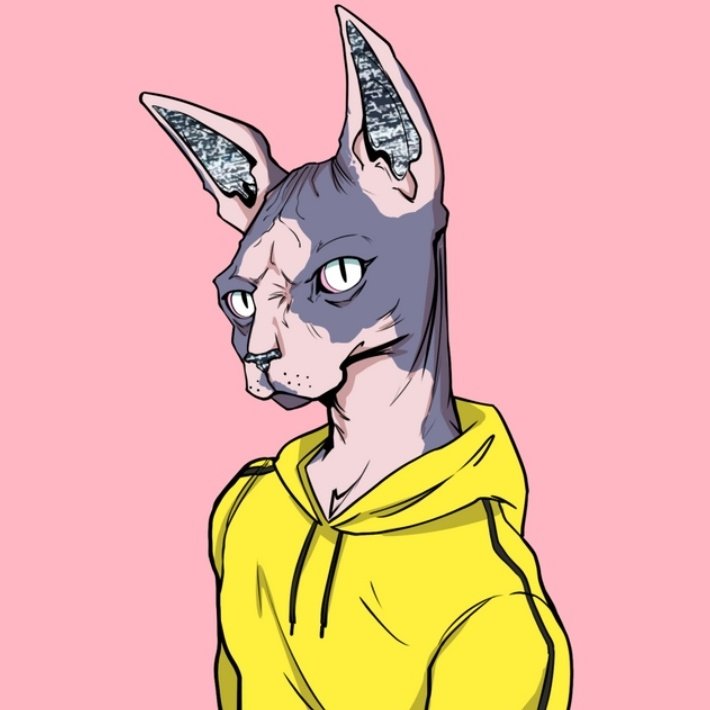 flavo.sol DAO 🔥 tweet media