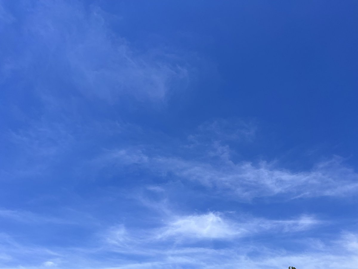 Auto2_5317's tweet photo. 暑い🥵
ただただ暑い☀️

けど夏の濃い青空は好き☻

#auto2 
#餅虎ポンポン丸 
#青空 https://t.co/sxIN8MWS5U