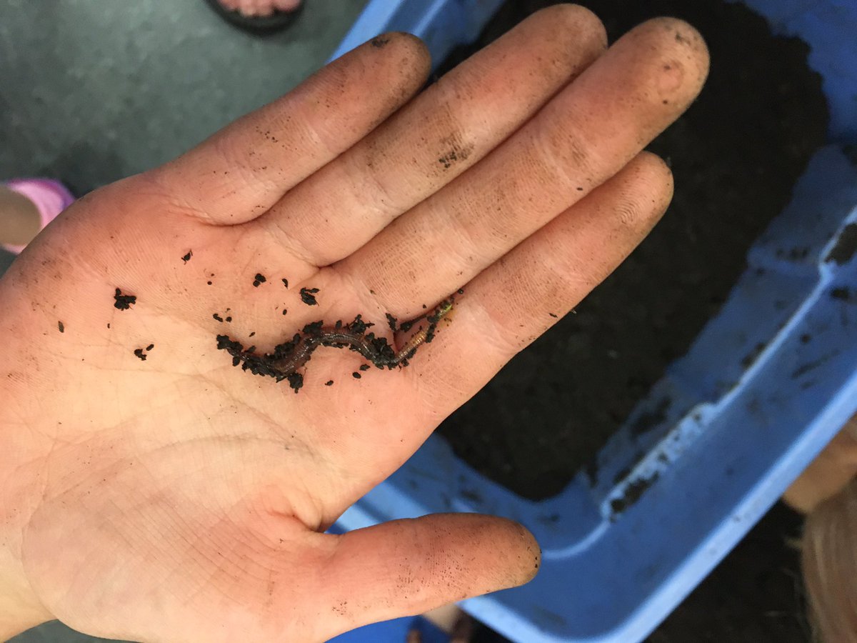 Kitty Cochrane tweet media