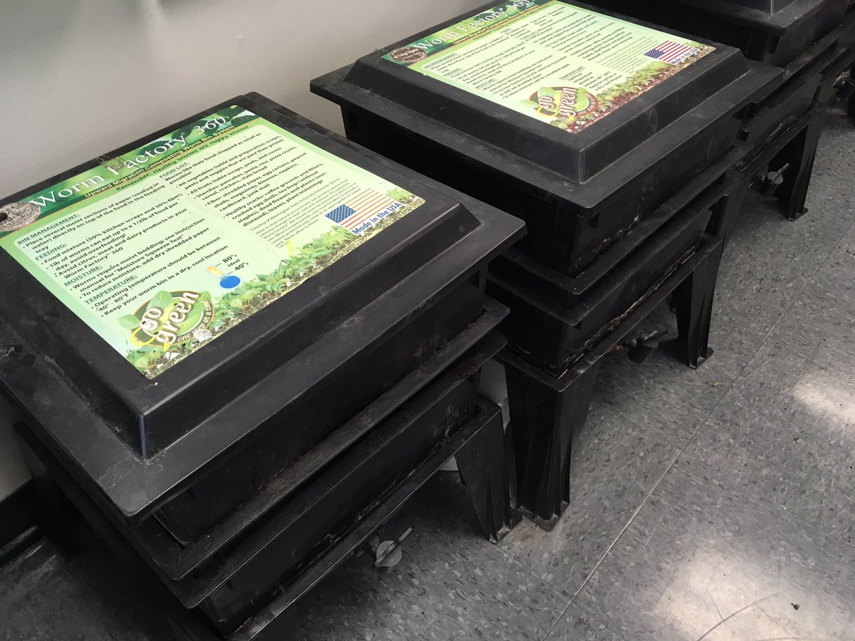 Kitty Cochrane tweet media