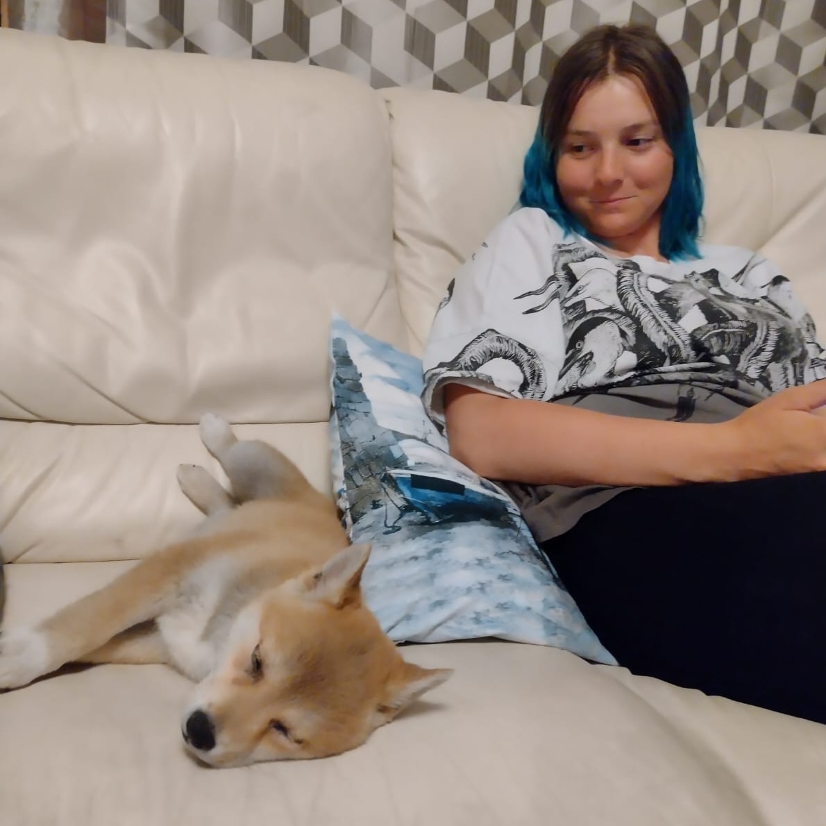 Julululka's tweet photo. Mam szczeniaczka 🐕🥺😻 https://t.co/P1s9L8IqBo