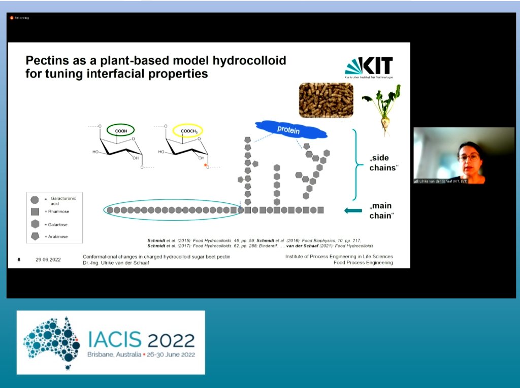 A nice talk on "Interfacial &amp; Emulsifying Functionality of Sugar Beet Pectin" by Ulrike Van Der Schaaf <a href="/iacis2021/">iacis2022</a>