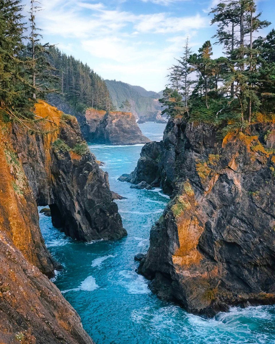 RachelSTWood's tweet image. GM friends
Have a great watery day!