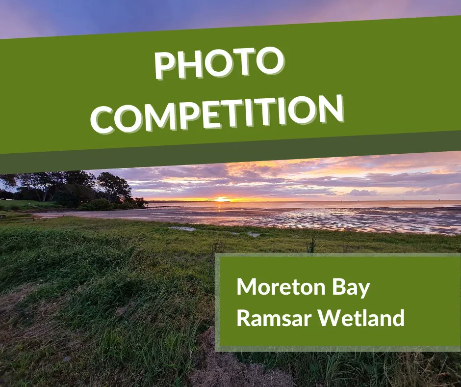 Upload your best photos of plants, animals, or landscapes showing the Moreton Bay Ramsar Wetland’s uniqueness and go in the draw to win a glamping experience on Minjerribah or ferry tickets to Coochiemudlo Island! Enter here: buff.ly/3btFQge Entries close 24 July