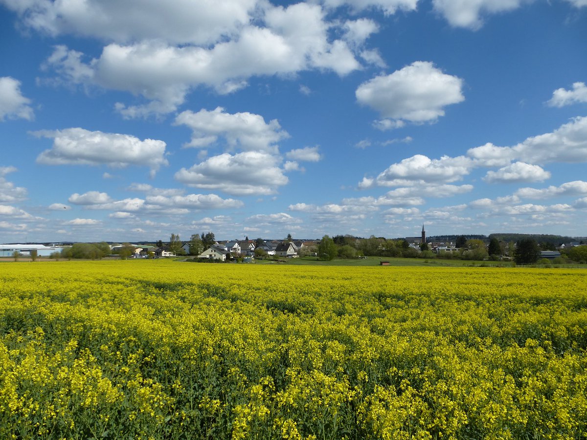 wittlichland's tweet photo. ©️Foto: Bernhard Korst
Guten Morgen aus Landscheid! 👋🏻
#meinwittlichland #landscheid #nature #landschaft #landleben #panoramaview #dorfansicht #landschaftsfotografie #visitrlp #rlperleben https://t.co/wAM491p3zI