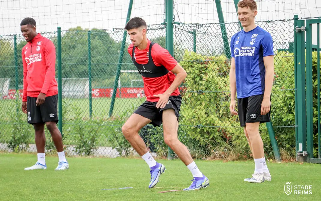 𝙎𝘿𝙍 𝘼ctus tweet media