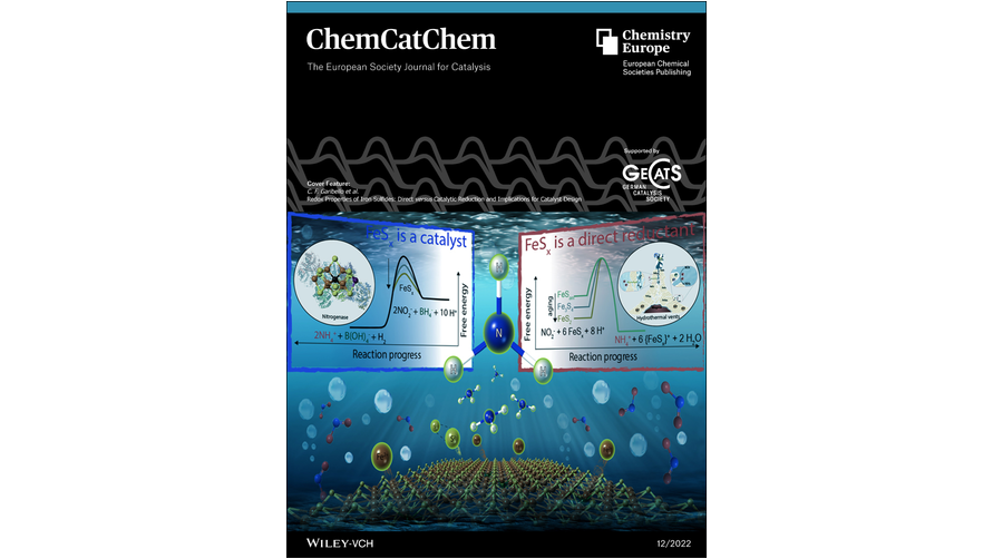 #CoverFeature Issue 12: Redox Properties of Iron Sulfides: Direct versus Catalytic Reduction and Implications for Catalyst Design by Rosalie K. Hocking and co-workers (@hockinglab, <a href="/FelipeGaribelo/">Felipe Garibello</a>) onlinelibrary.wiley.com/doi/10.1002/cc…