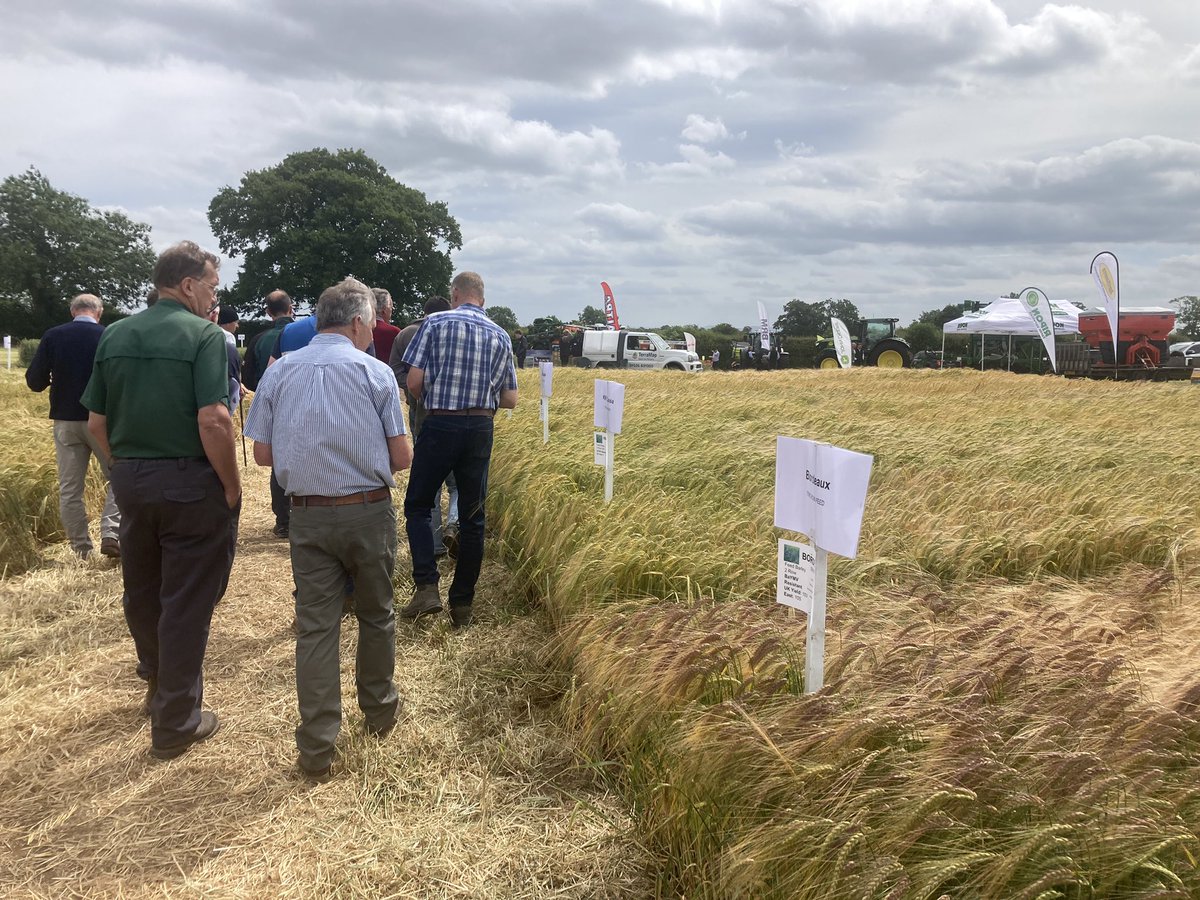 DKB Crop Protection tweet media