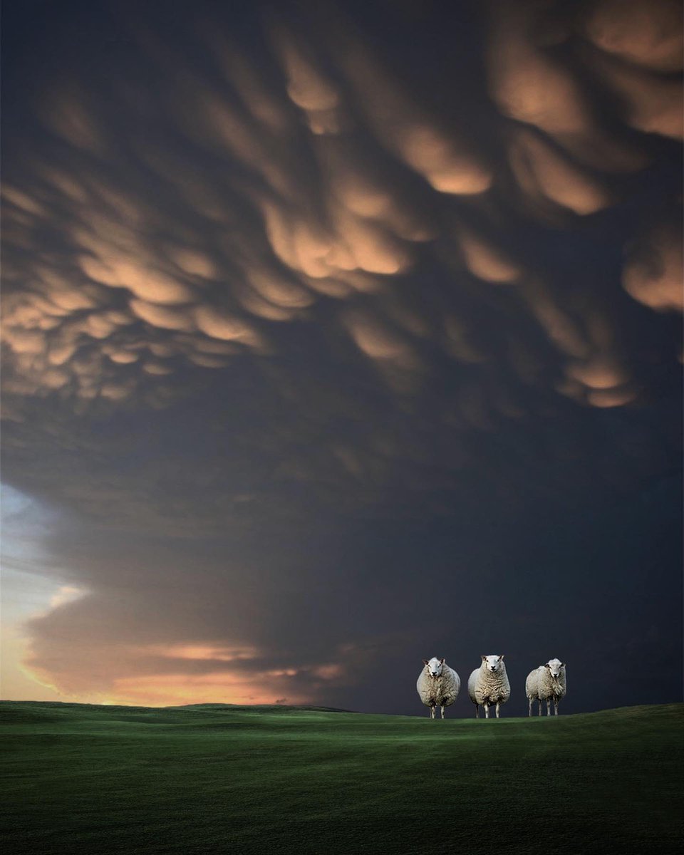 I used to dream in colors by Niphisi