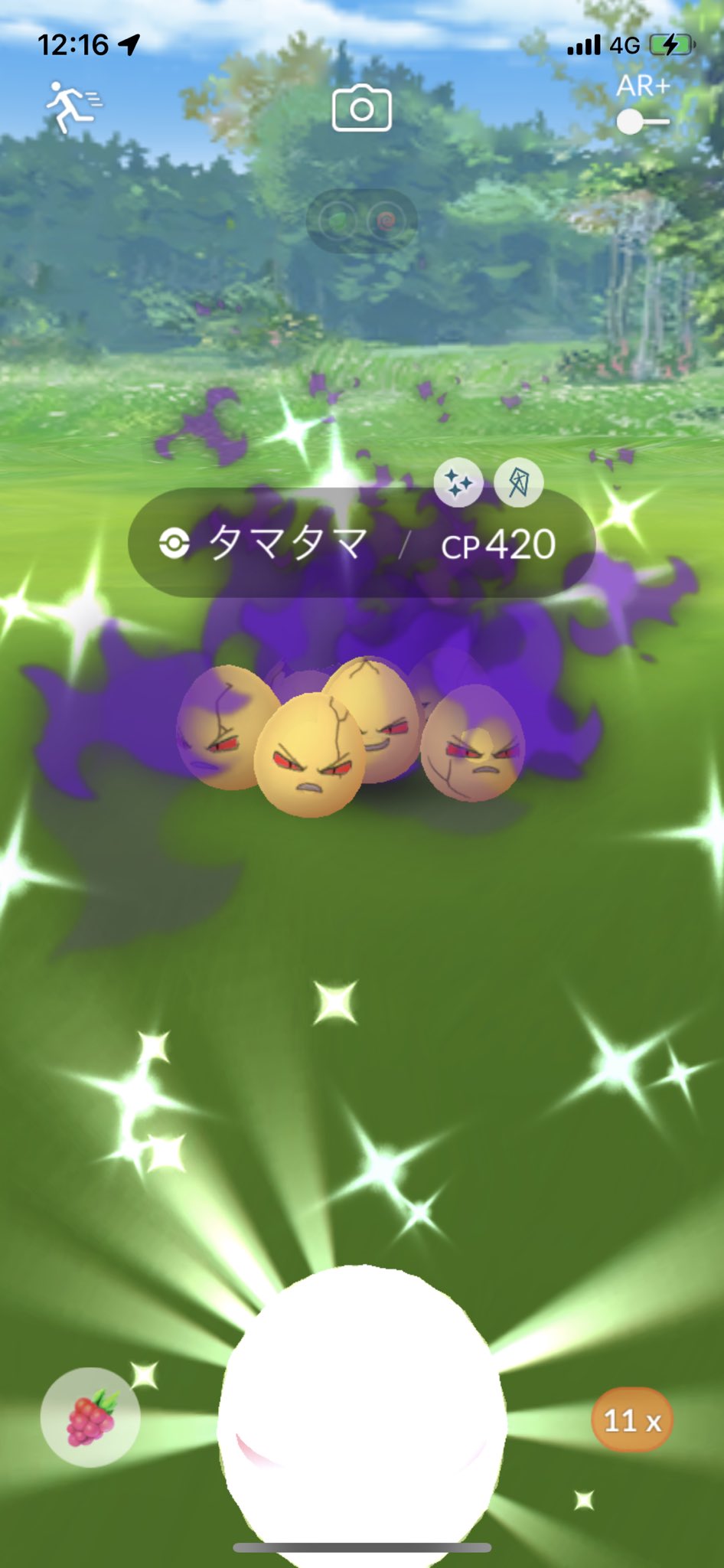 Uzivatel Bomax Na Twitteru 自宅でまた色違い シャドウ タマタマの色違い2匹目 ていうかタマタマの色違いに好かれすぎてる やっぱり持ってない色違いは出ないのね ポケモンgo 色違いポケモン T Co Stkzvsxkuu Twitter