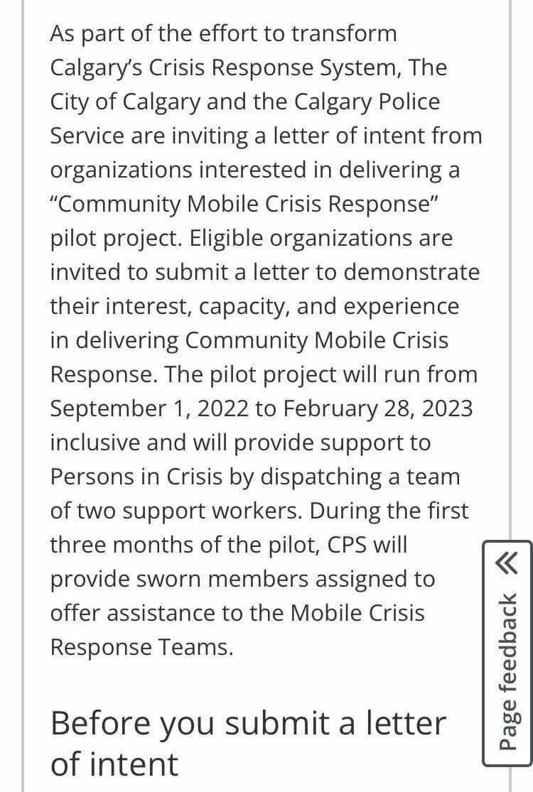 I found it concerning how many of the strategic goals in the 2022 annual plan for CPS depended on non-profit organizations with little to no resources. 