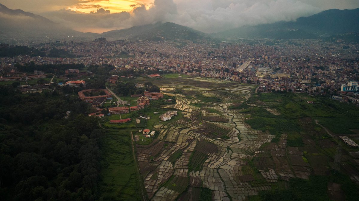 AbhushanGautam's tweet photo. A few remaining patches of paddy fields and greenery against the backdrop of the rapid urban sprawl near TU premises. With new buildings and facilities being added aggressively, it's the last remains that really matter now.
#ropain #asar15 #nationalpaddyday https://t.co/U7Mrm4VB4P